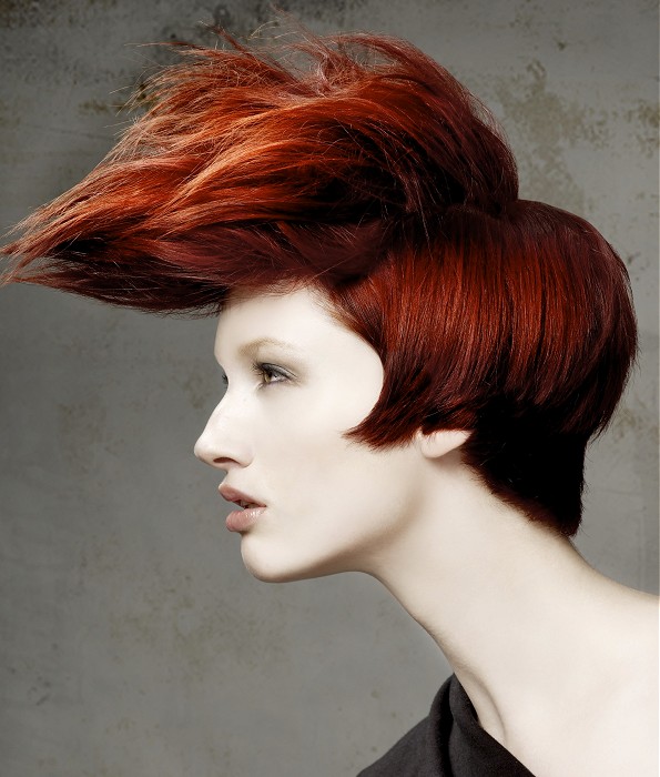 Sherri Jessee Medium Red Hairstyles